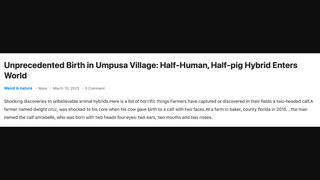 Fact Check: Article Does NOT Prove 'Half-Human, Half-Pig Hybrid Enters World'