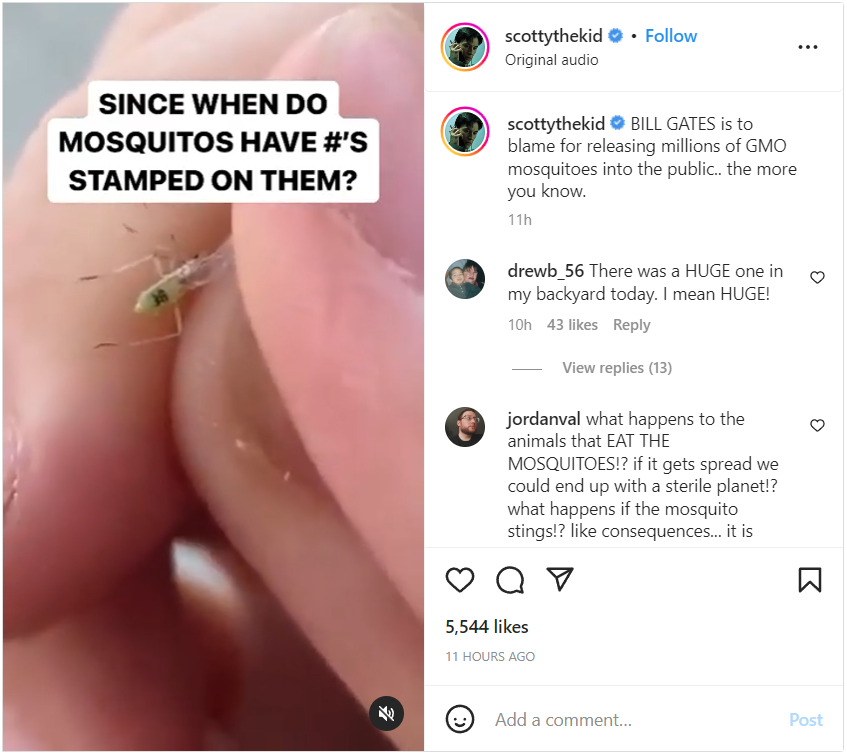 Mosquito or something else.png