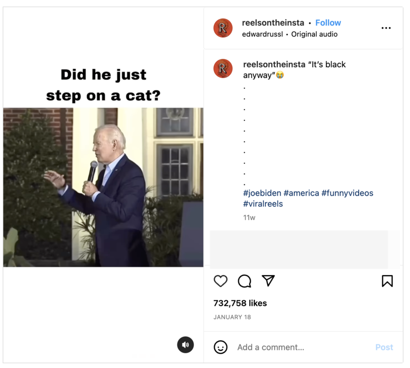 Biden stepped on cat video  image.png