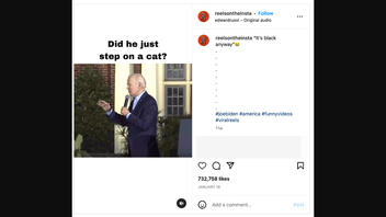 Fact Check: Video Does NOT Show Joe Biden Stepping On Cat -- Squeal Was Digitally Added