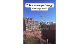 Fact Check: Video Does NOT Show Destruction Of Eggs In U.S. -- It's From Argentina