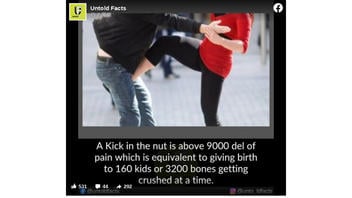 Fact Check: A 'Kick In The Nut' Is NOT Equal To '9000 Del Of Pain' -- There Is No Pain Measurement Called A 'Del'