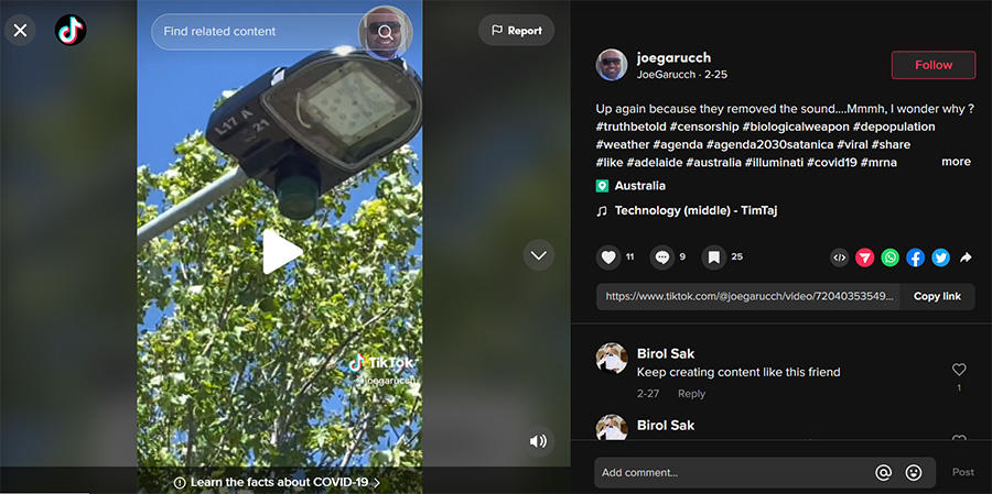 streetlighttiktok.jpg