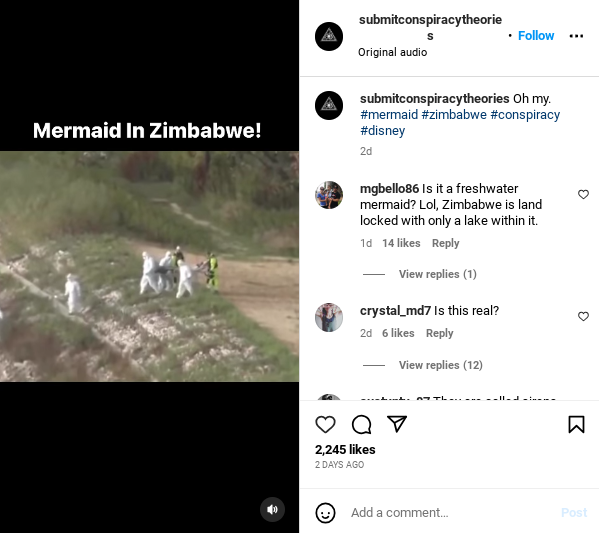 mermaid in zimbabwe IG post.png