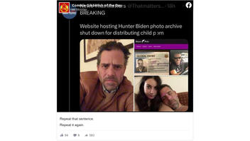 Fact Check: Website Hosting Hunter Biden Photo Archive NOT Shut Down For Distributing Child Porn -- It's A Joke Account