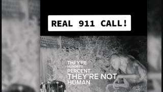 Fact Check: Creature Was NOT Filmed In Backyard -- This Video Was Made With CGI Program Blender