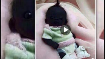 Fact Check: Photo Does NOT Show 'World's Tiniest And Darkest' Baby -- It's A Baby Gorilla Doll