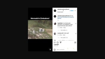Fact Check: Mermaid Was NOT Found In Zimbabwe -- Video Shows A 2015 Festival Performance In Poland