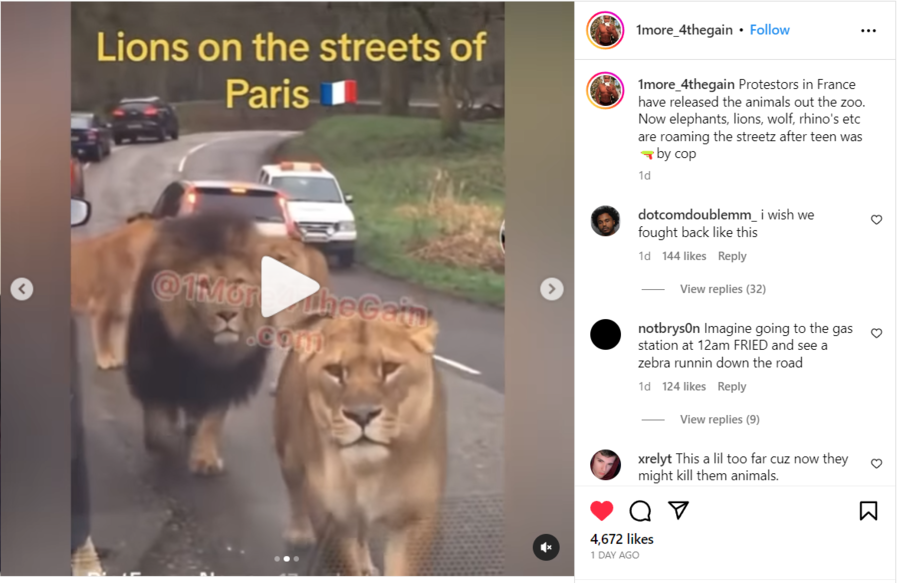Lions in Paris from video.png