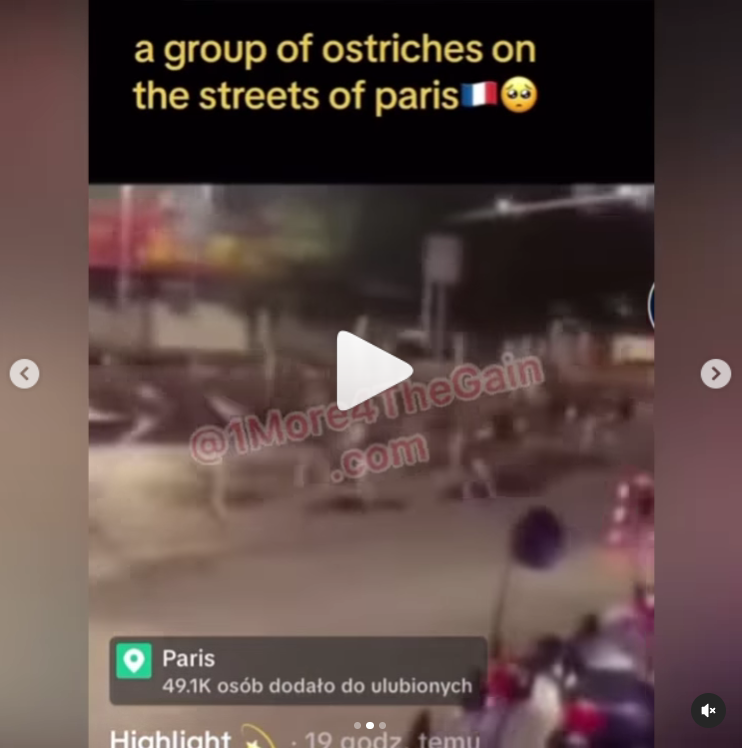 Ostriches.png