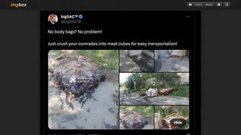 Fact Check: Photo Does NOT Show Remains Of Russian Soldiers Crushed 'Into Meat Cubes'
