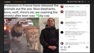Fact Check: Video Does NOT Show Animals 'Roaming The Streetz' After Protesters In France Release Them
