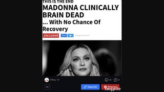 Fact Check: TMZ Did NOT Report That Madonna Was 'Clinically Brain Dead'