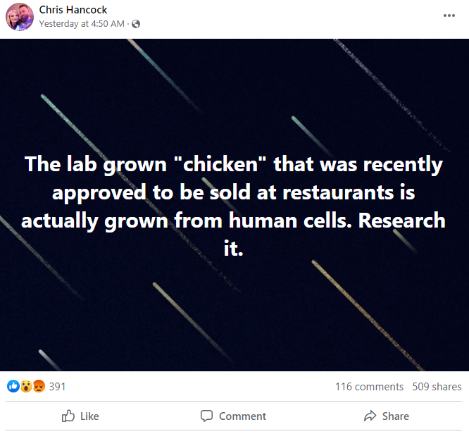 lab grown chicken human cells.png