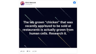 Fact Check: 'Lab Grown' Chicken Approved By Regulators Is NOT 'Grown From Human Cells' 