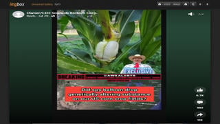 Fact Check: NO Evidence Of Corn Blight Linked To Chinese Spy Balloon -- Video Revealed As Comedy Skit