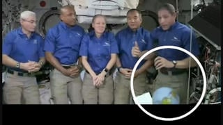 Fact Check: Downward Motion Of Object On International Space Station Does NOT Indicate An Anti-Gravity Hoax