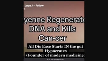 Fact Check: NO Evidence Eating Cayenne Pepper Repairs DNA Directly Or Kills Cancer In Humans