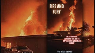 Fact Check: Speed Of 'Fire and Fury' Book Publication Does NOT Prove Maui Fire Was Planned Or Foretold