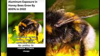 Fact Check: NO Evidence That Honeybee Exposure To Aluminum Grew By 800 Percent In 2022