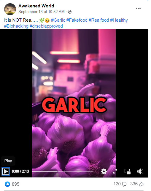 Garlic Not Real Food Image.png