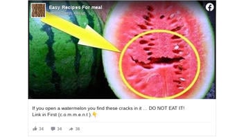 Fact Check: Watermelon Cracks Are NOT Caused By Plant Growth Regulator And Do NOT Cause Cancer, Other Health Issues