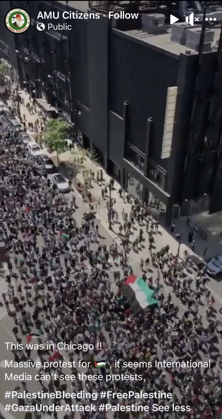 pro palestine march in chicago fb screenshot.png
