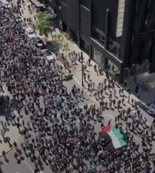 Fact Check: Video Does NOT Show 2023 Pro-Palestine March In Chicago In Response To Hamas-Israel Conflict -- It's Footage From March In 2021