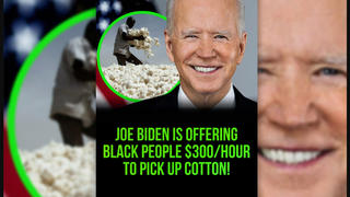 Fact Check: Biden Is NOT Offering Black People $300 An Hour To Pick Cotton