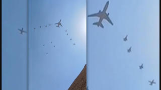 Fact Check: Video Does NOT Show Air Force One In Egypt By October 12, 2023 -- It's KC-10 Extender Tanker Plane During Exercise Bright Star 23 