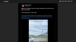 Fact Check: Video Does NOT Show 'Hamas Paraglider' Crashing Into Power Line -- Footage Predates Most Recent Israel-Hamas Conflict