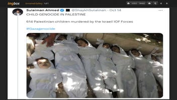 Fact Check: Photo Is NOT Of Palestinian Children Killed During 2023 Israel-Hamas Conflict -- It's From 10 Years Earlier In Syria