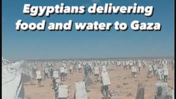 Fact Check: Video Does NOT Show Egyptians Delivering Food And Water To Gaza Since The Start Of October 2023 Conflict