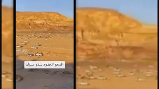 Fact Check: Video Does NOT Show Egyptian Bedouin Muslims Demanding Gaza Border Be Opened -- Annual Wadi Zalaga Camel Race