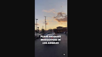 Fact Check: There's NO Evidence A Video Documents An Aircraft Releasing Mosquitoes Over Los Angeles