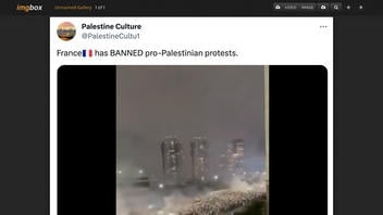 Fact Check: Video Does NOT Show Pro-Palestinian Protest In France -- It's Palmeiras Soccer Fans In Brazil