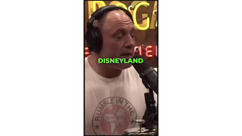 Fact Check: Joe Rogan Did NOT Talk About Purported Child Abduction Into Disneyland Secret Tunnels 
