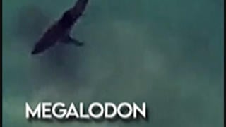 Fact Check: NASA Satellite Did NOT Photograph Megalodon On Shark Week Show -- Dramatized Scenes And Actors Playing Scientists