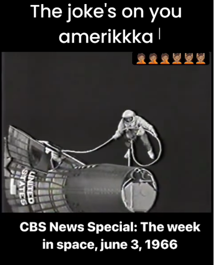 image (65).png