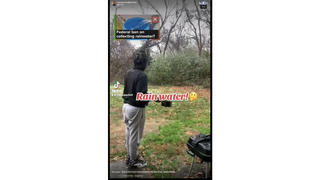 Fact Check: US Does NOT Have Federal Ban On Collecting Rainwater