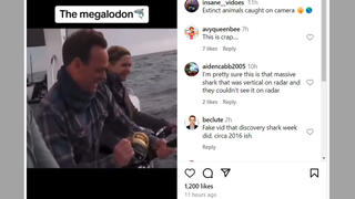 Fact Check: Video Does NOT Show Real Megalodon Shark Attack Of Fishing Boat -- Staged Production For 'Shark Week'