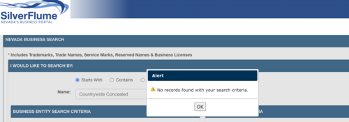 Nevada Business Portal -- Countrywide Concealed.png