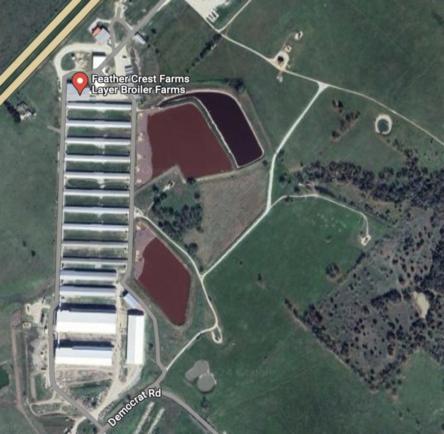 Screen Shot 2024-03-13 at 3.39.25 PM.png