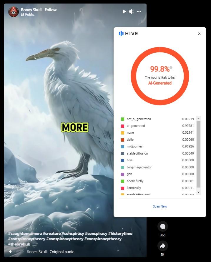 birddetection.jpg