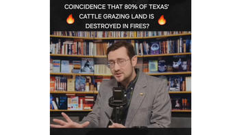 Fact Check: '80 Percent Of Texas' Cattle Grazing Land' Was NOT Destroyed In 2024 Wildfires