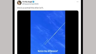 Fact Check: Differing Length, Persistence Of Plane's Vapor Trail Does NOT Indicate If It Is Contrail Or Something Else