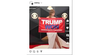 Fact Check: Faked Photo Appears To Show Taylor Swift Holding 'Trump Won / Democrats Cheated' Banner -- It Was Edited