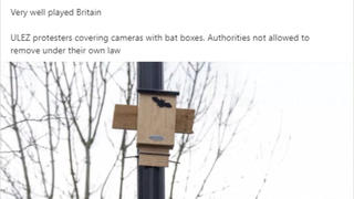 Fact Check: London Authorities Are NOT Legally Prohibited From Removing Bat Boxes Protesters Put On Surveillance Cameras 