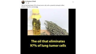 Fact Check: Barbara O'Neill Did NOT Endorse Thyme Oil That Supposedly Kills 97% Of Lung Tumor Cells