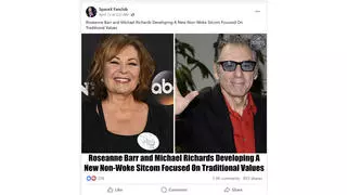 Fact Check: Roseanne Barr And Michael Richards Are NOT Developing 'New Non-Woke Sitcom Focused On Traditional Values' -- It's Satirical Article